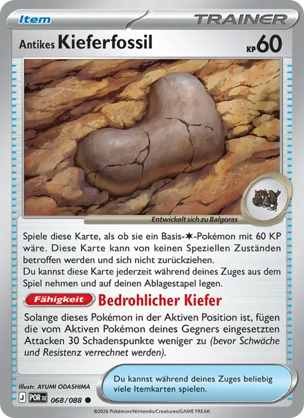 Antikes Kieferfossil