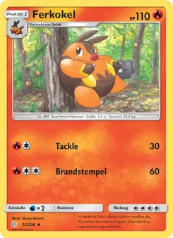 Ferkokel