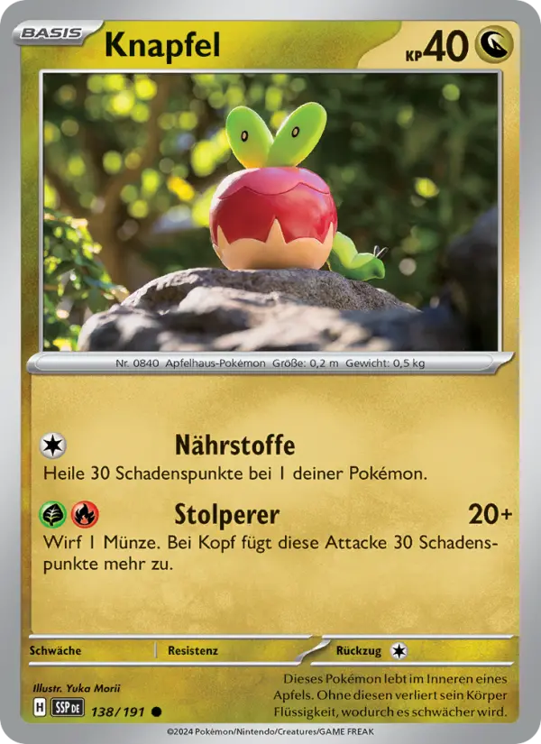 Knapfel