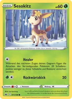 Sesokitz