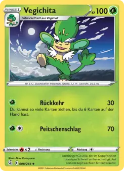 Vegichita