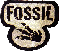 Fossil Pokémon TCG set logo