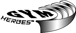 Gym Heroes Pokémon TCG set logo