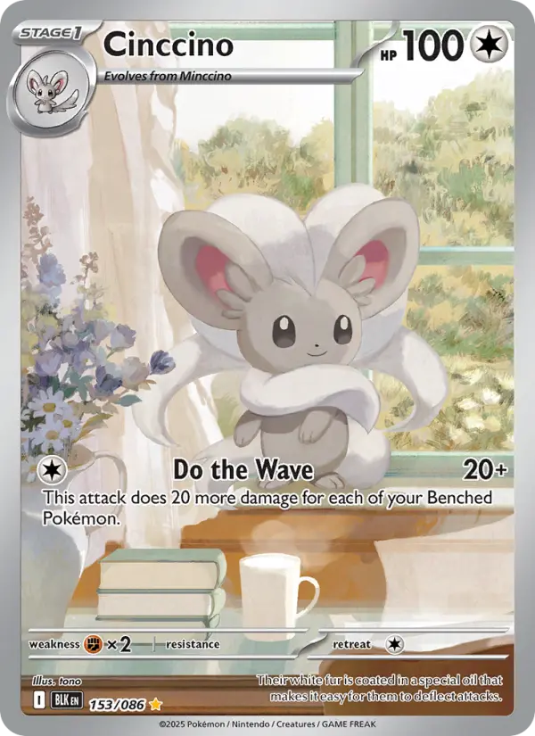 Cinccino