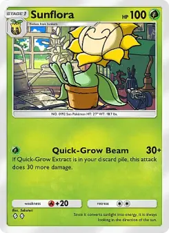 Sunflora