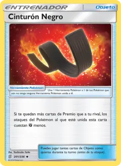Cinturón Negro