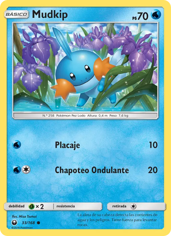 Mudkip