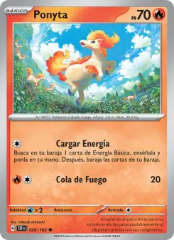 Ponyta
