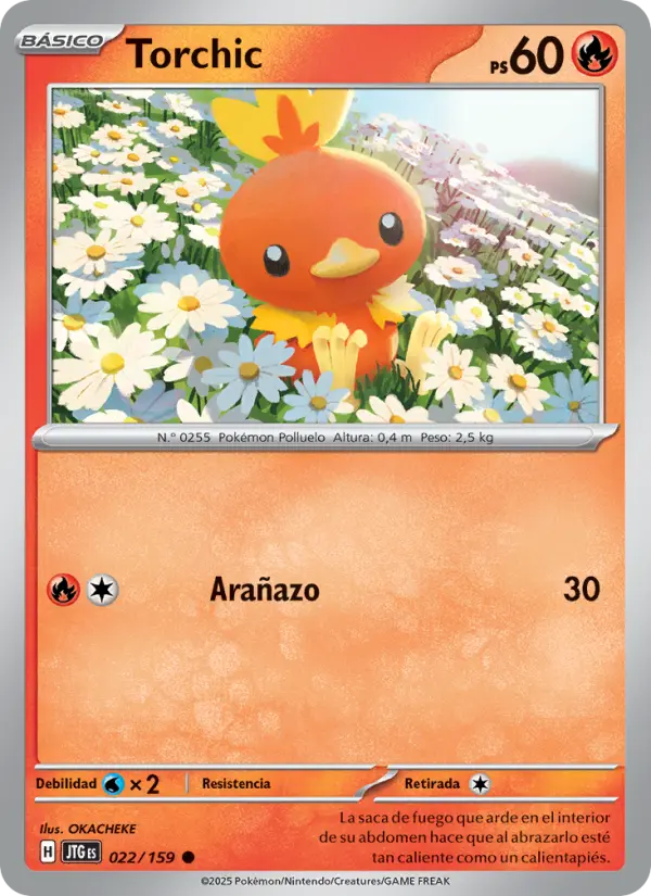 Torchic