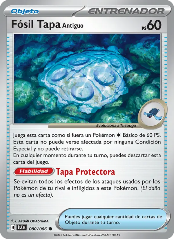 Fósil Tapa Antiguo