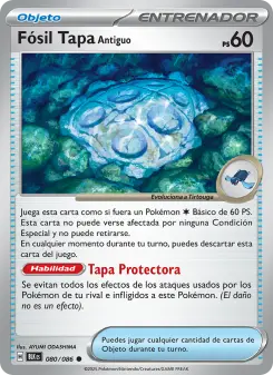 Fósil Tapa Antiguo