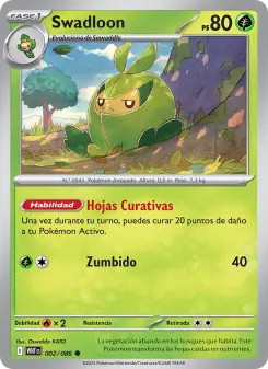 Swadloon