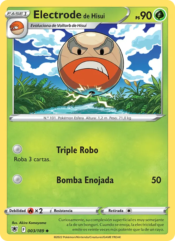 Electrode de Hisui