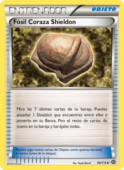 Fósil Coraza Shieldon