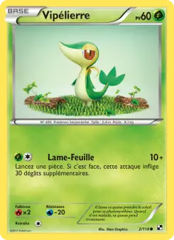 Vipélierre