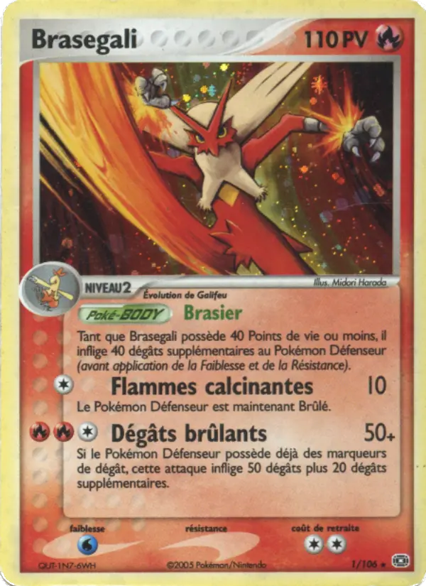 Brasegali