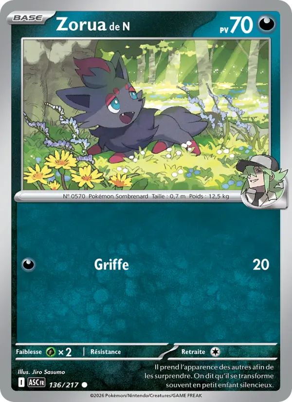 Zorua de N