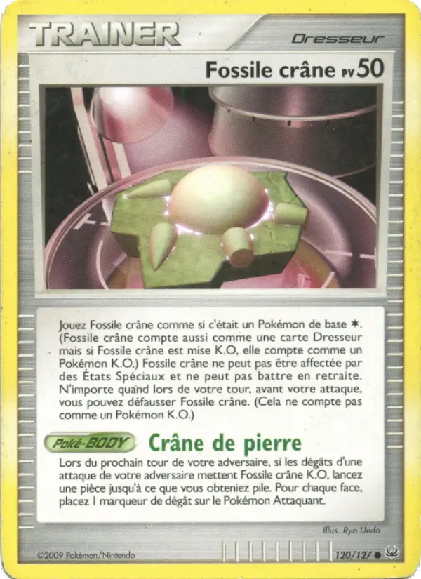 Fossile crâne