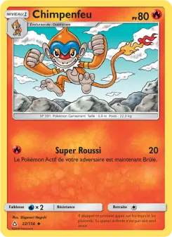 Chimpenfeu