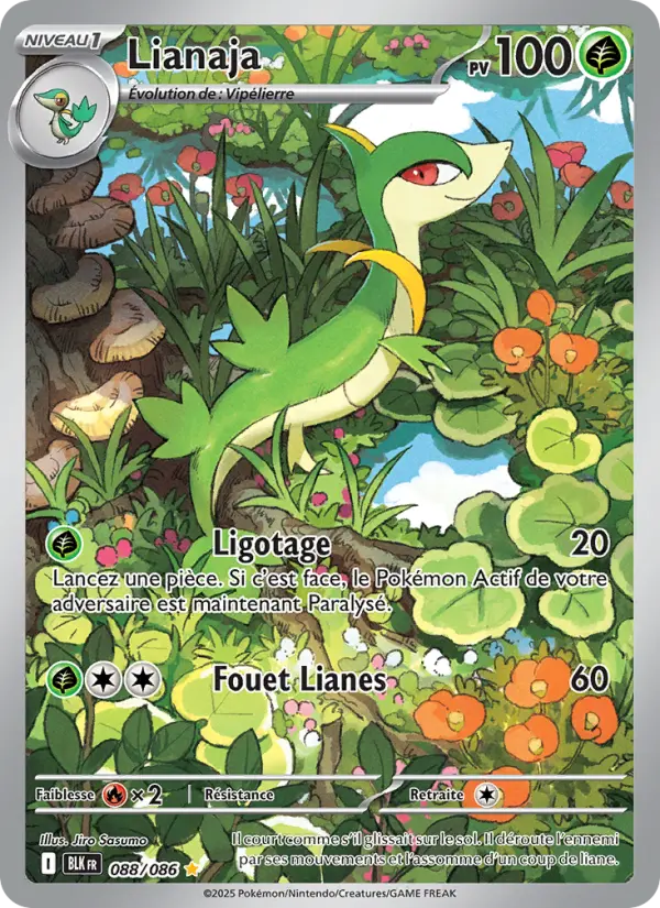 Lianaja