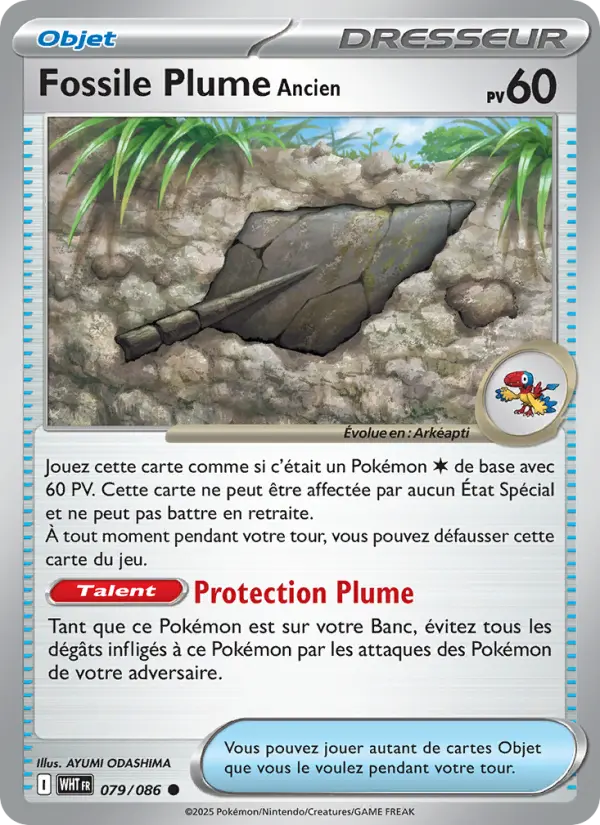 Fossile Plume Ancien