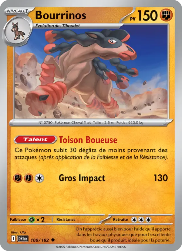 Bourrinos