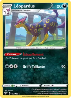 Léopardus