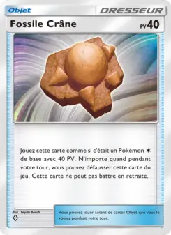Fossile Crâne