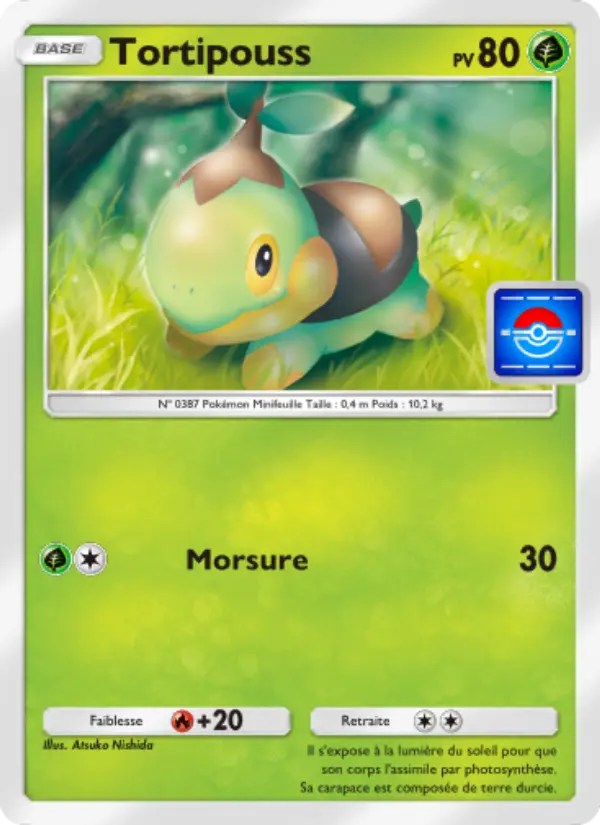 Tortipouss