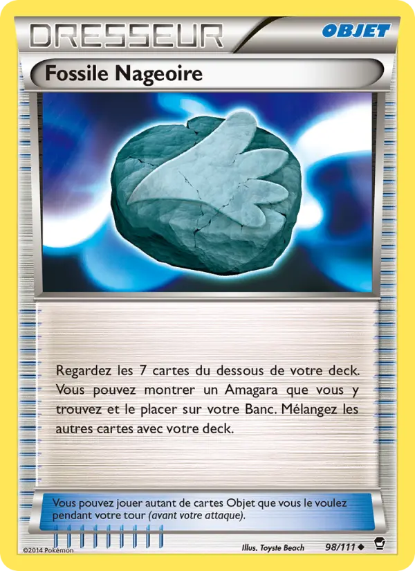 Fossile Nageoire