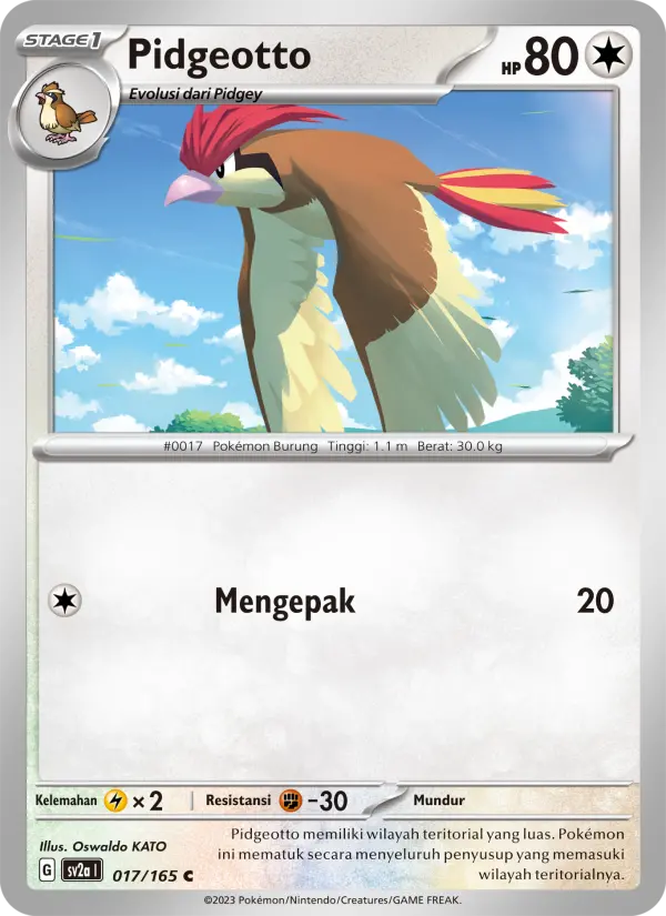 Pidgeotto