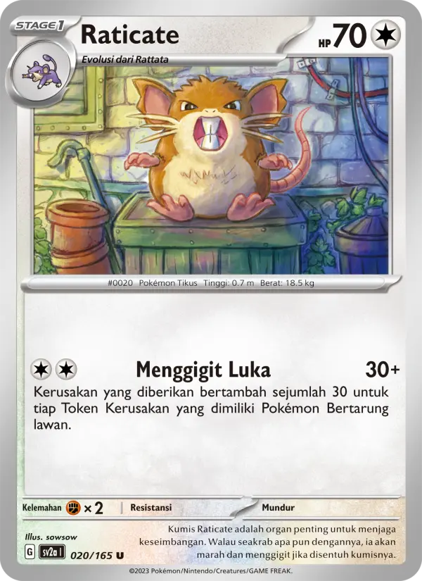 Raticate