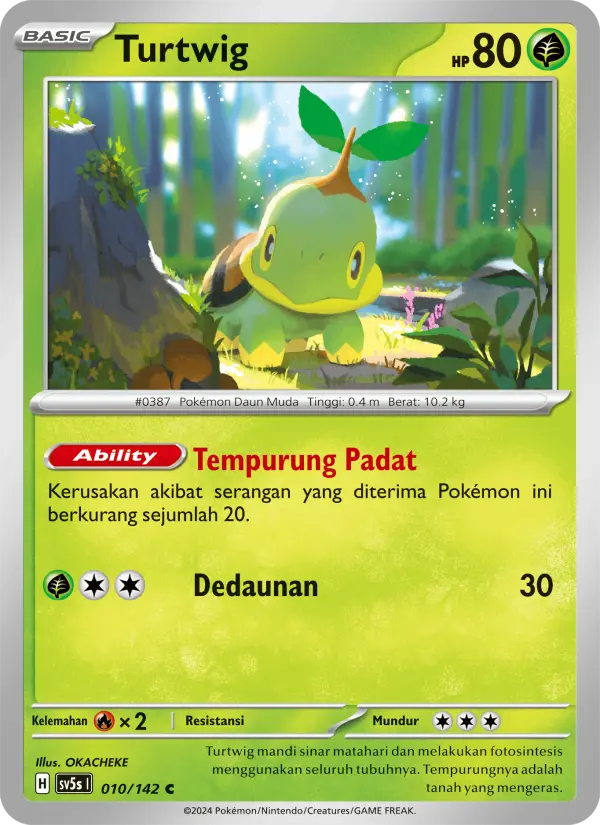 Turtwig