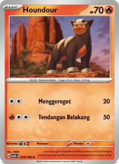Houndour