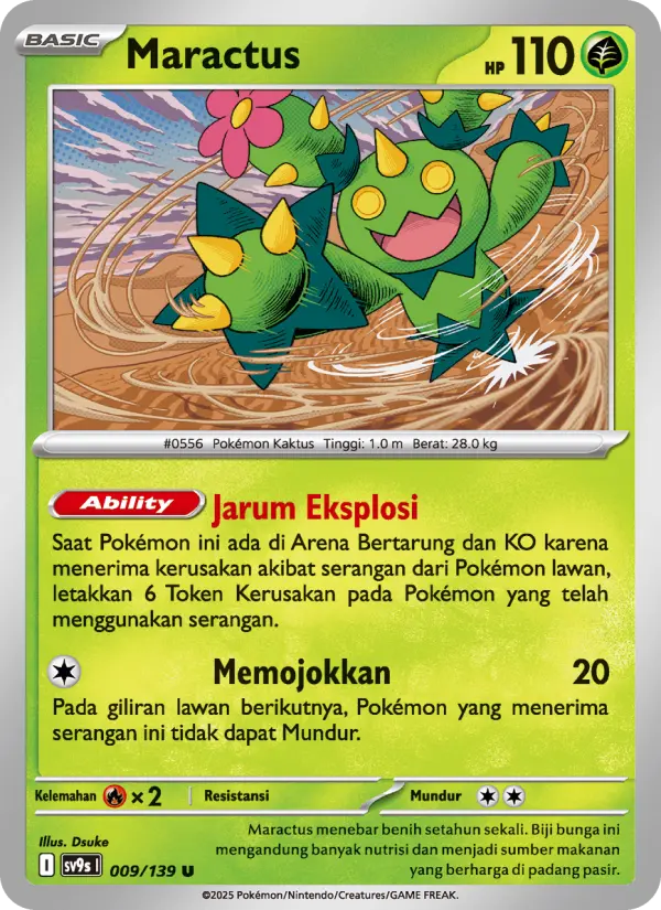 Maractus