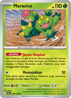 Maractus