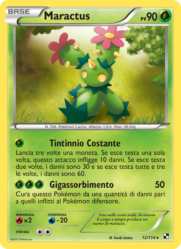 Maractus