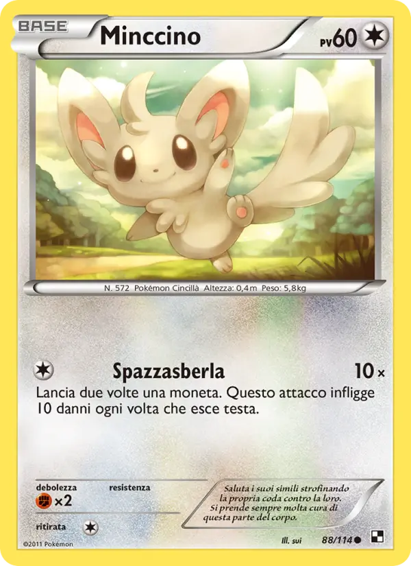 Minccino