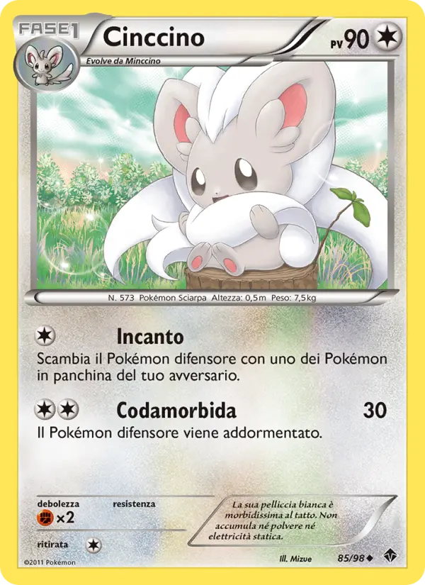 Cinccino