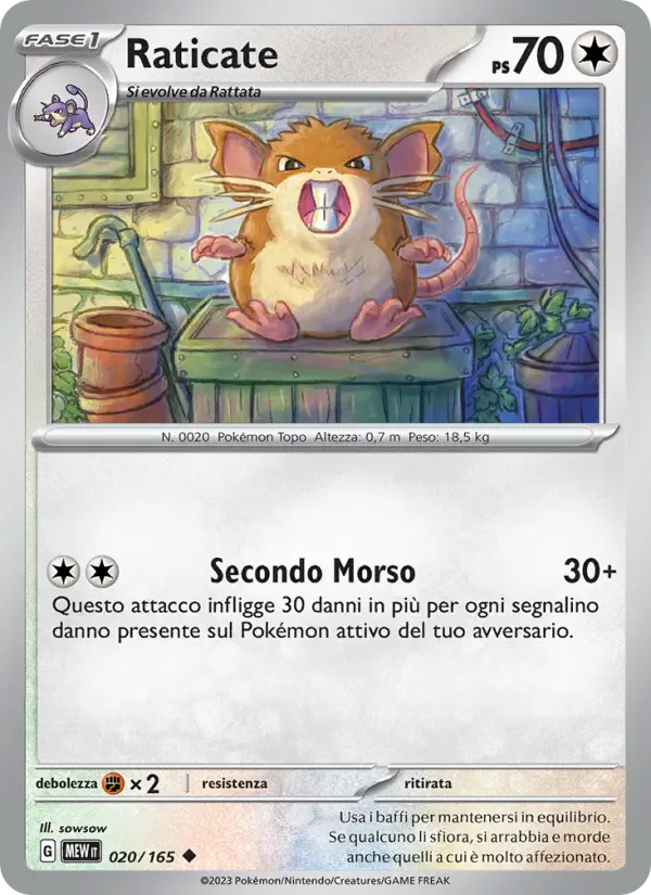 Raticate