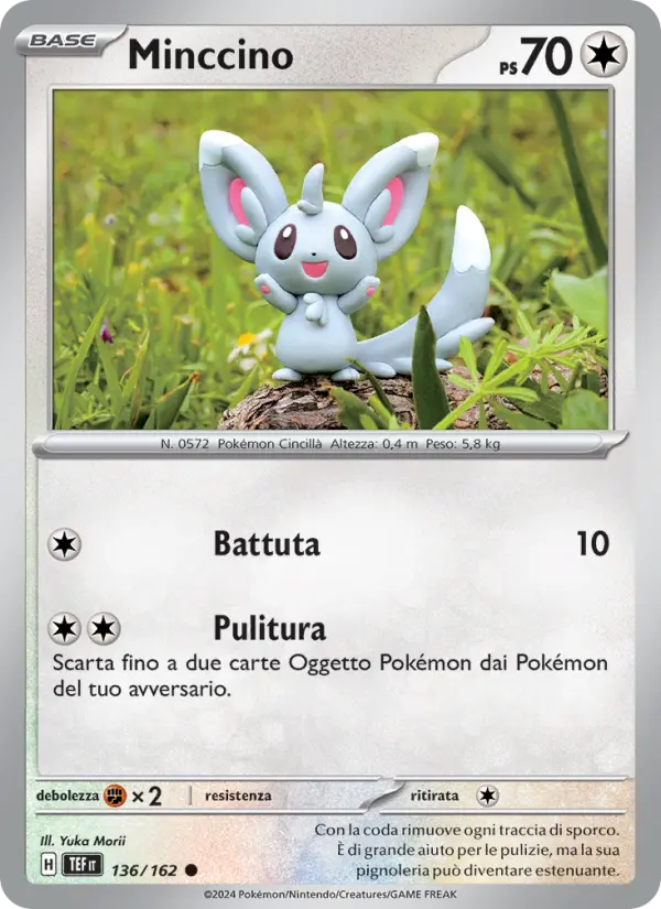 Minccino