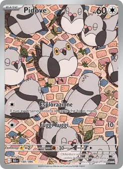 Pidove