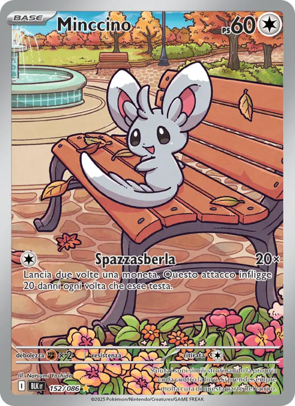 Minccino