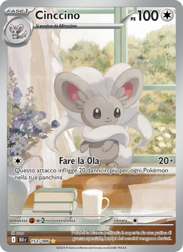 Cinccino