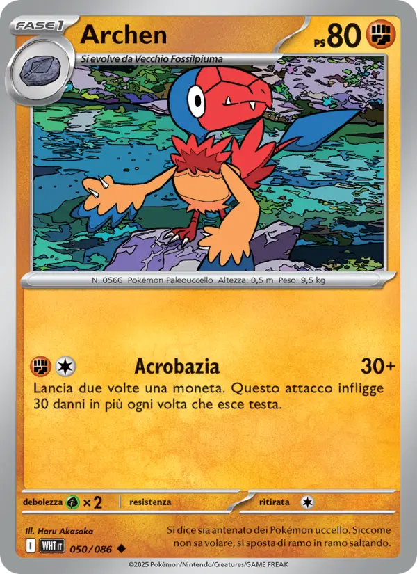 Archen