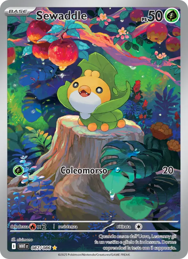 Sewaddle