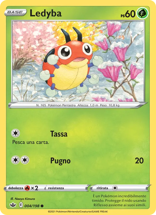 Ledyba