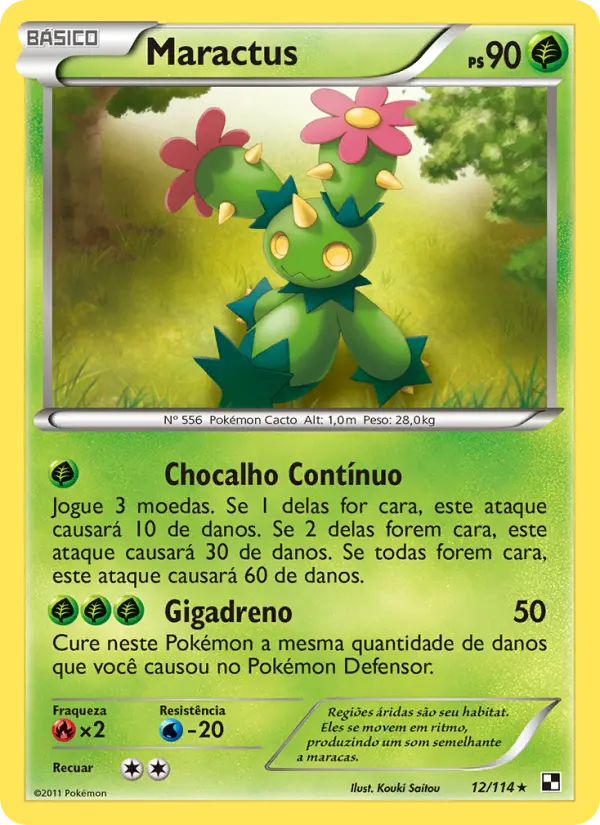 Maractus