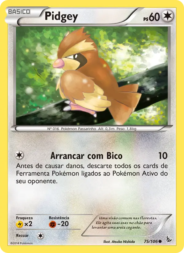 Pidgey