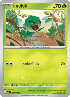 แคปไซจิ